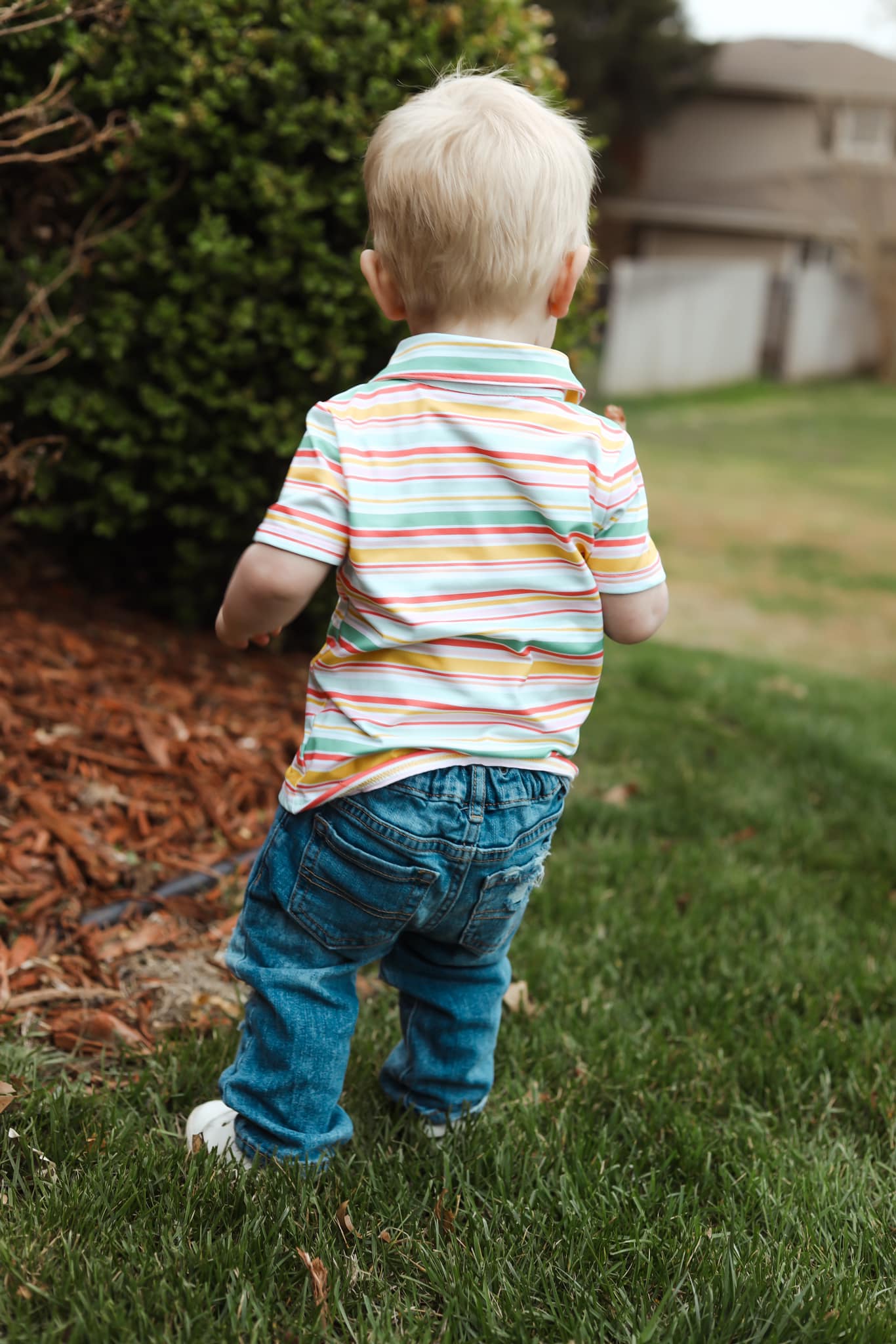 spring stripes collar tee