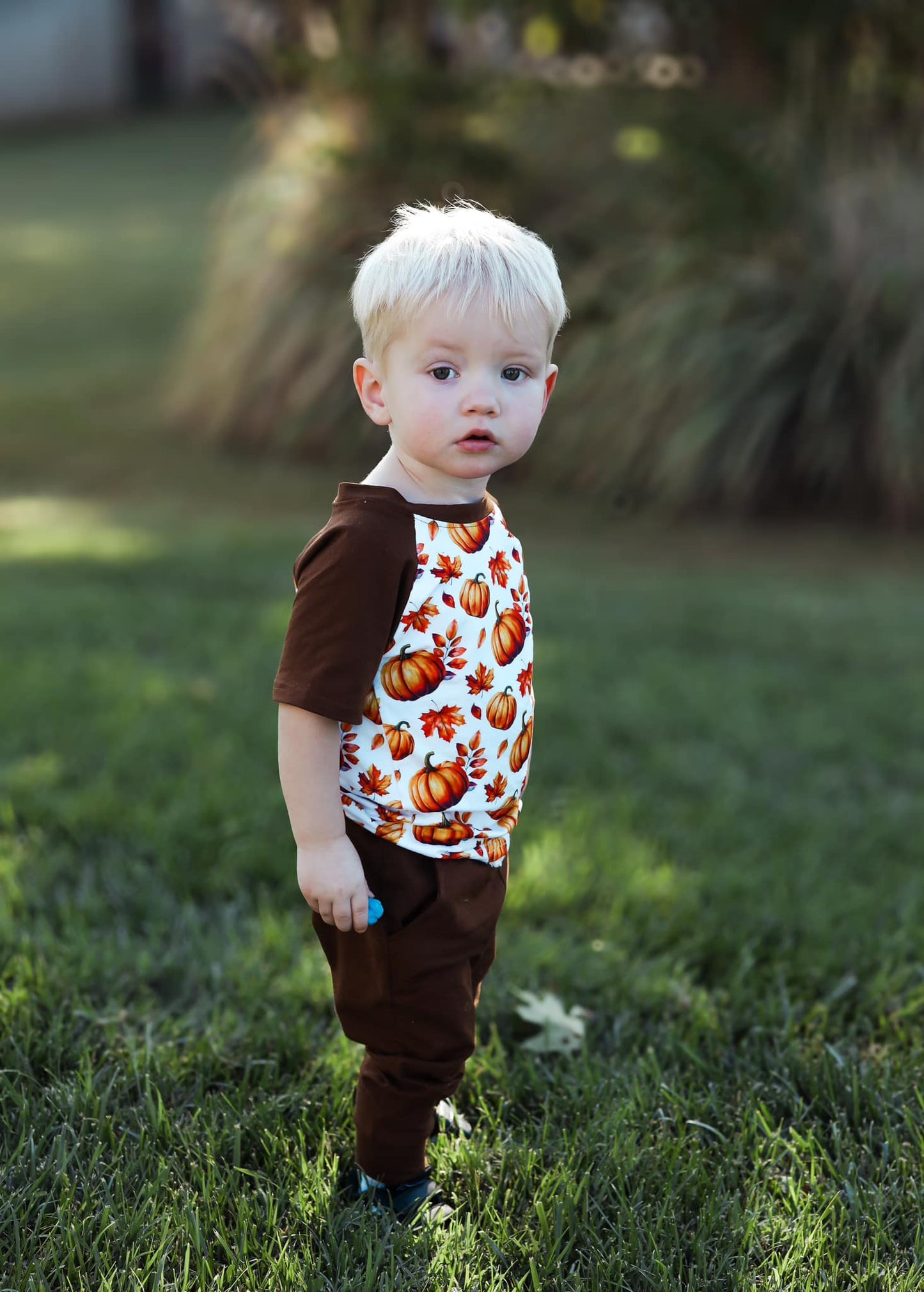 brown fall pumpkin raglan