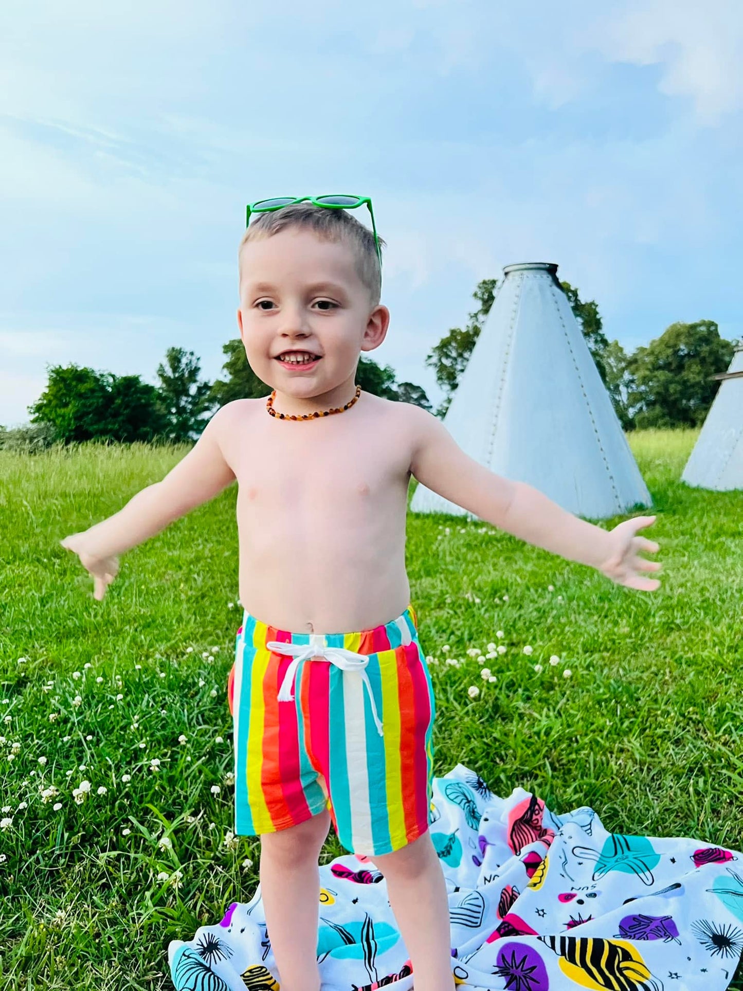 Bright Stripes Steele Trunks