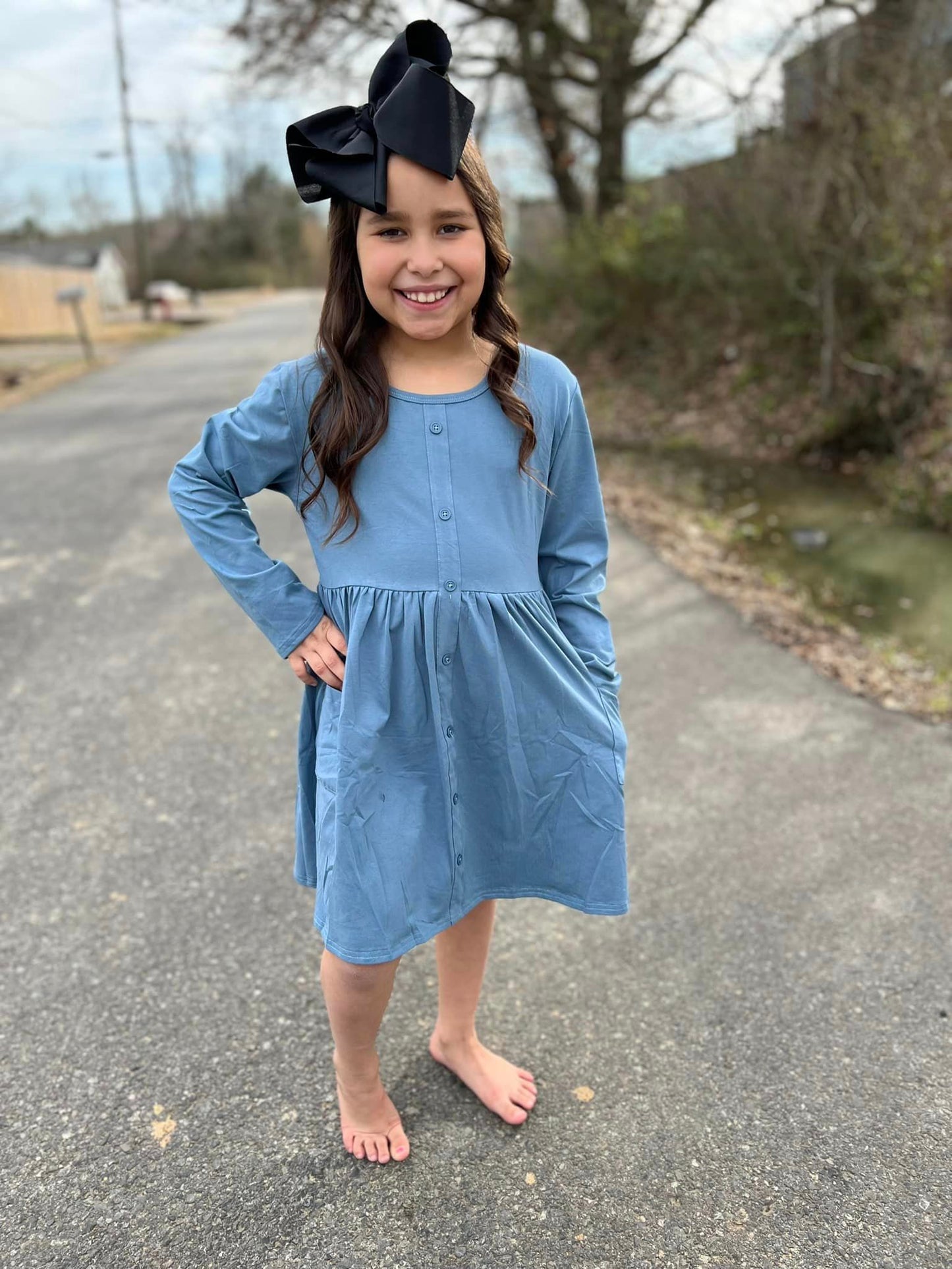 Steele Blue LS tinsley dress